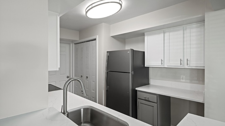 Modern kitchen with slate appliances