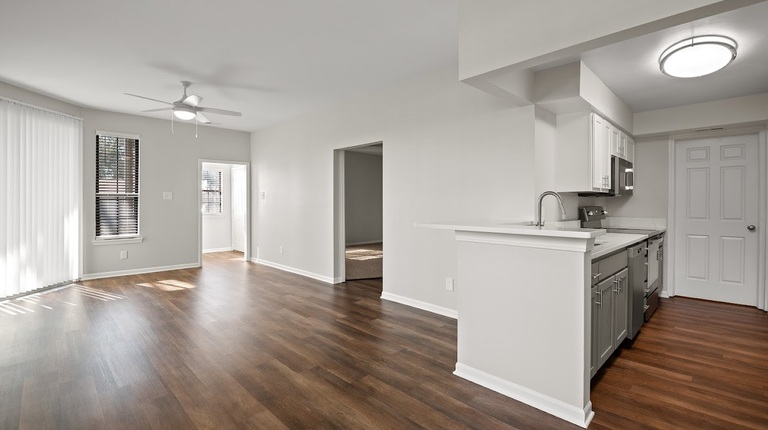 Open-concept kitchen and living room